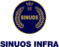 Sinous Infra