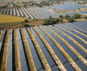 Solar Project