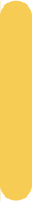 Yellow Border
